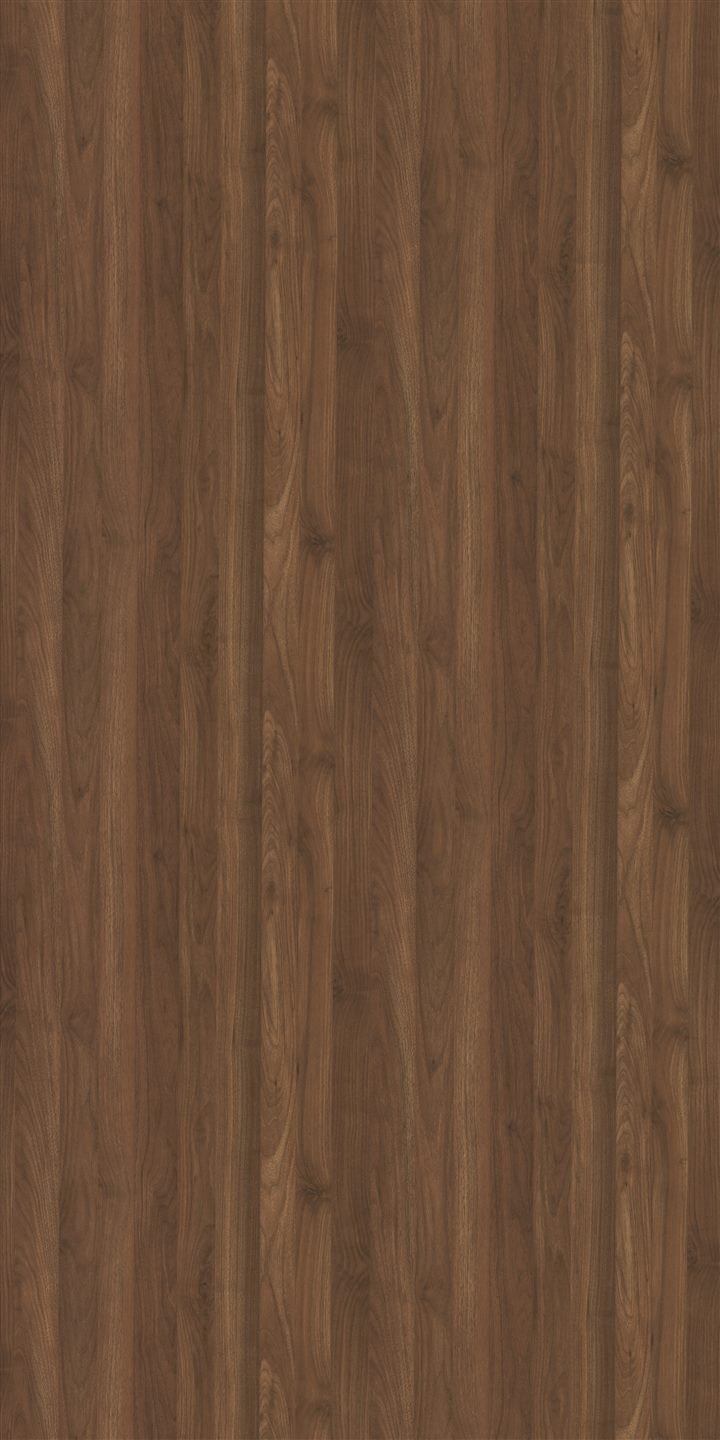 3004