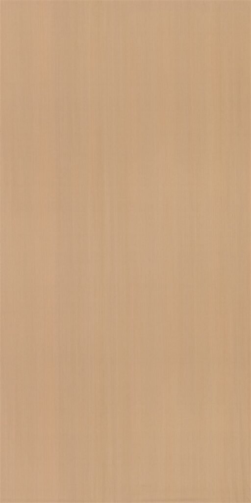 3006