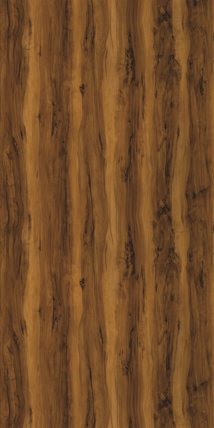 5005